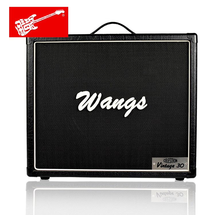 BIYANG wangs V30-112OB open guitar case (Chameleon V30 speaker)