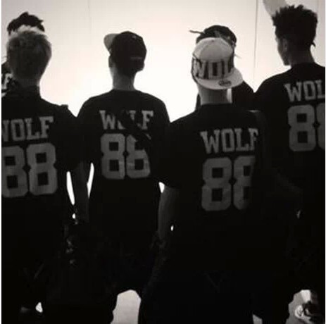 Exo Wolf88 Wolf and the Beauty Same Style Performance T-Shirt Fan Team Uniform Unisex Merchandise Pure Cotton Short Sleeve