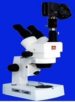 XTZ-V Image stereo microscope