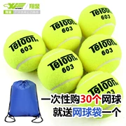 Gửi túi quần vợt chính hãng Teloon Tianlong tennis 603 801 đào tạo quần vợt thực hành bóng chính