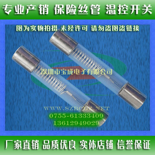 5000V 5KV 850mA 0 85A TUV certified microwave oven special high voltage fuse tube