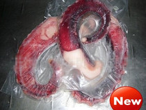 Japanese cuisine delicious octopus foot large octopus foot about 350g