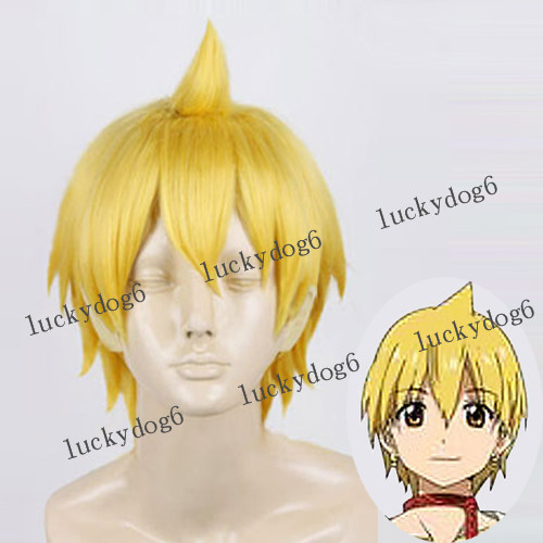 Cosplay Wig Magi: the Labyrinth of Magic Alibaba Sharjah Ari