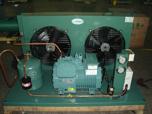 6HP bizer air-cooled refrigerated depot refrigeration unit 4CC-6 2 in cryogenic freezing cold storage freezer