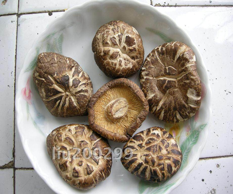 The Farmyard Goods of the Peasant Goods: Jiangxi Tuiyuan Origin Farmhouse Special Flowers Mushrooms mushrooms No root meat is thick and delicious.