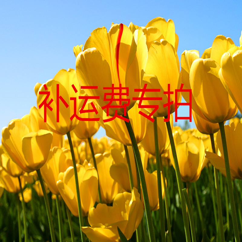 Special for the price difference-Taobao