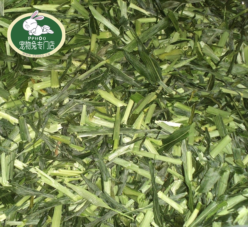 Premium quality barley grass segment, rabbit grass, guinea pig, mixed grain holy product