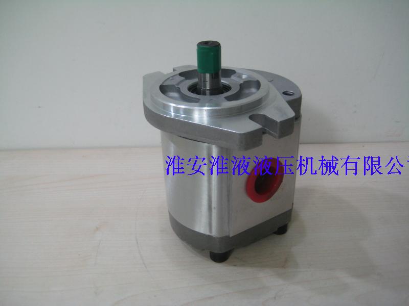 P204P219 P204P219 P222P225 high-pressure gear pump