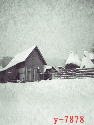 Photo Gallery Han Style Background Wedding Photography Background Winter Couple Snowscape Shooting Background Photo Gallery Writing True Background