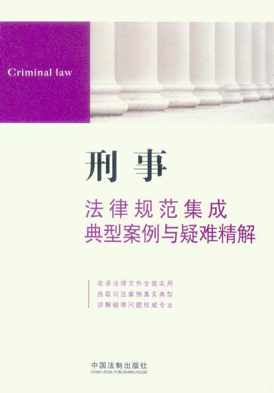 刑事法律规范集成典型案例与疑难精解10