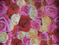 Book wrapping paper Wrapping paper Gift wrapping paper pattern paper Book cover Gorgeous rose