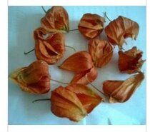 Chinese herbal medicine Chinese herbal medicine brocade lantern 500g