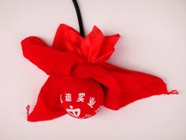 Hebei Teddy Signs Endless Fitness Ball Teddy Fitness Balls Aged Fitness Balls