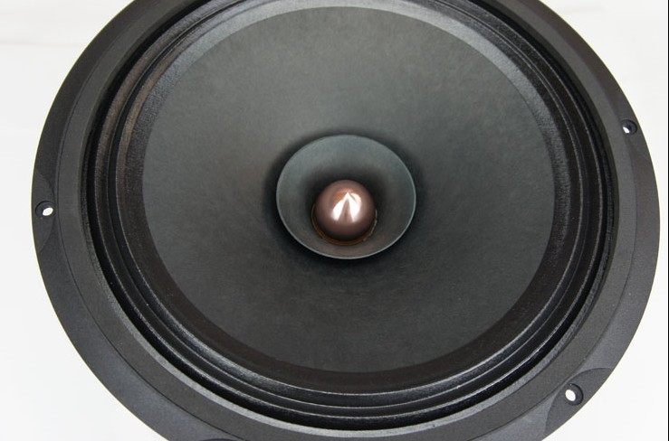 full range speaker 12 inch