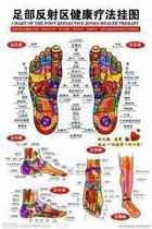 Foot reflex area health therapy wall chart standard human hole map color foot massage map batch hair