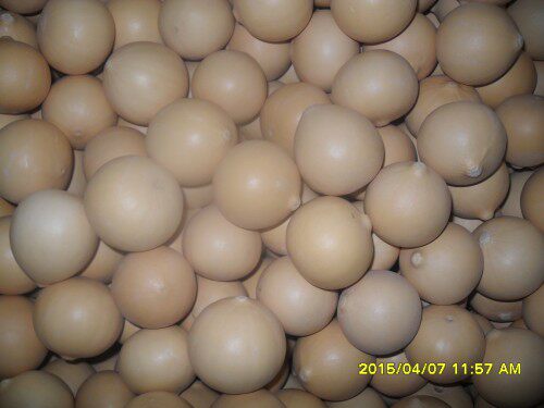 Natural egg gourd Small round gourd Play with egg handles 1 2 yuan a 100 pieces