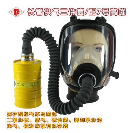 Tang Feng Silicone Mask Spray Paint Chemical Anti-Formaldehyde Ammonia Gas Pesticide Filter Poison Large View Tank Gas Guide Tube All-round Tool Hood