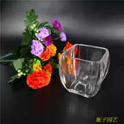 Bình thủy tinh vuông vuông Narcissus bát sen văn hóa nồi thủy canh bình thủy tinh chai vuông - Vase / Bồn hoa & Kệ