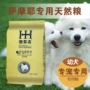 Ao Duo Mai thức ăn cho chó Chó con Samoyed thức ăn đặc biệt 2,5kg kg 5 kg thú cưng tự nhiên chó chính thức ăn Satsuma thức ăn cho chó thức ăn cho chó mang thai