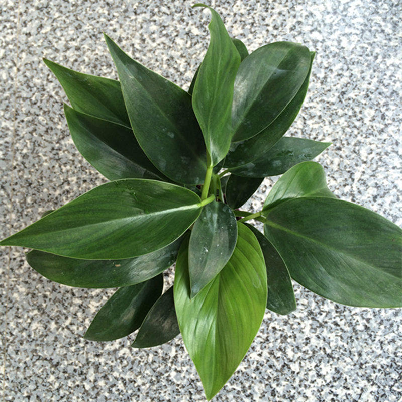 �Ӻ�Ե����������59961