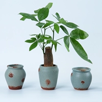 Handmade gốm gốm jar hoa bình hoa nồi gốm đất nung cổ xưa nhỏ hoa chèn đồ trang trí - Vase / Bồn hoa & Kệ chậu cây xi măng