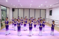 Childrens single shoulder Double shoulder Dai ethnic dance Fish Tail Skirt Elastic Peacock Dance Performance Clothing Girl National Performance Wear