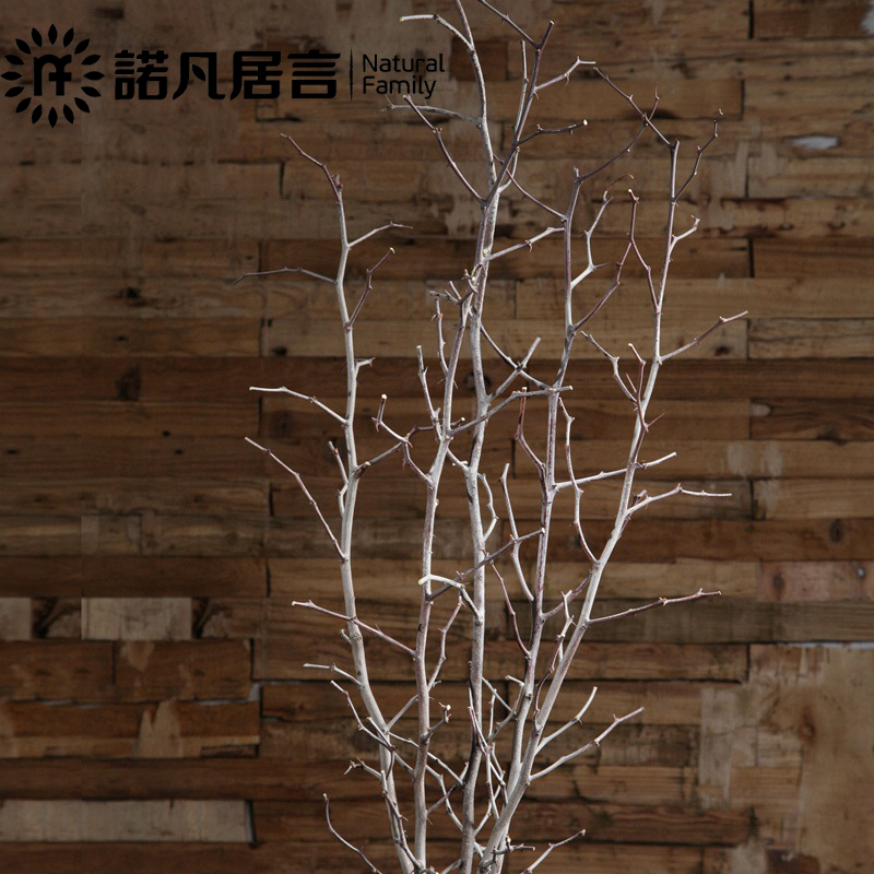 ŵ������֦�ɻ�2016082801