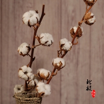 Cotton twigs Country natural imported kapok flower bouquet dried flowers Real flowers Living room decoration flower arrangement shooting props