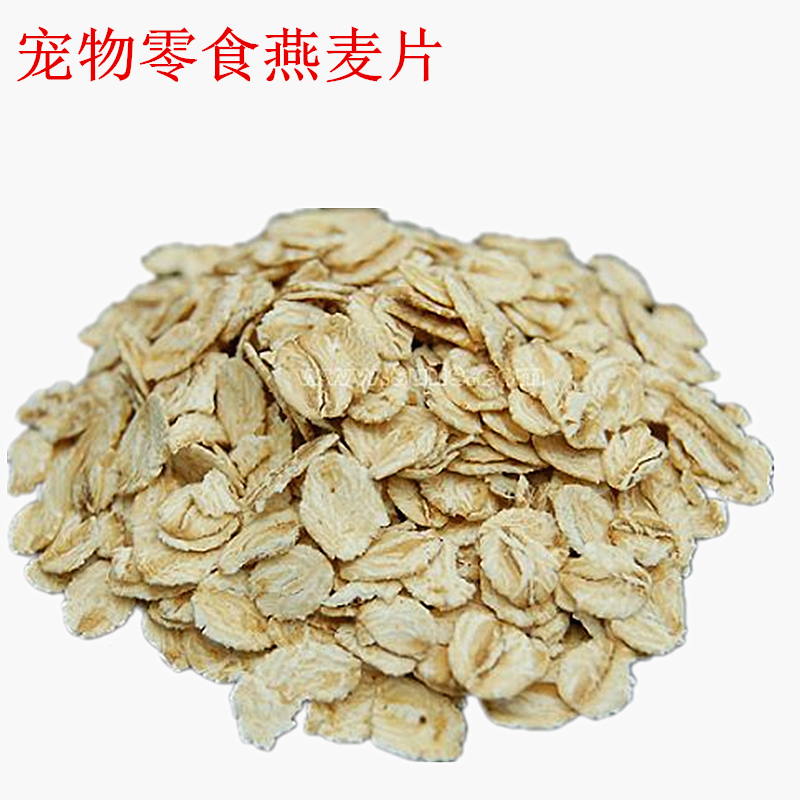 Pet Great Love Oatmeal Rat Rat Rabbit love to eat low sugar low heat 100 gr