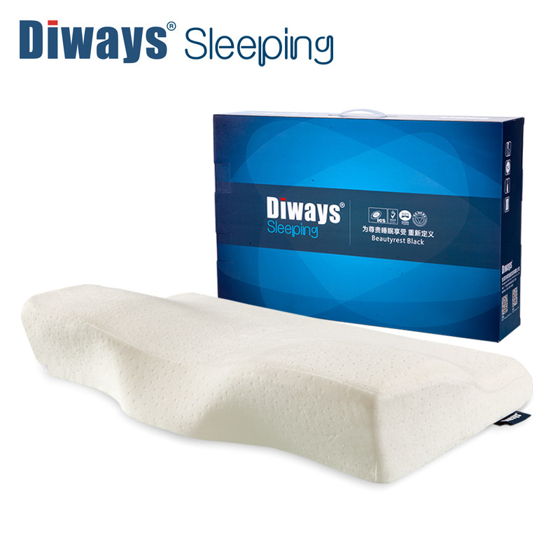 diways��ˮ����������׵��DW-2S