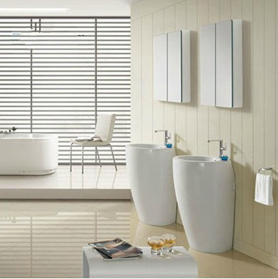 ��˹������ԡ�մ�ϴ����60CC