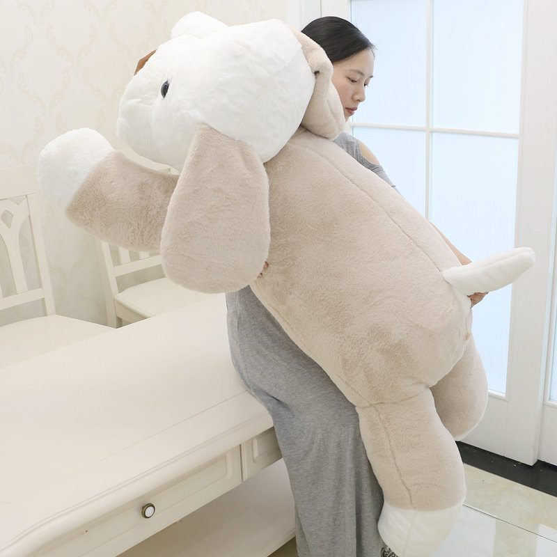 dmsky������ż