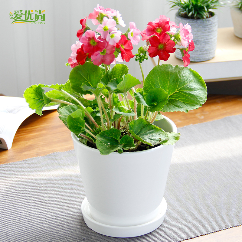 �������ļ�ӣ�������ļ�ӣ��