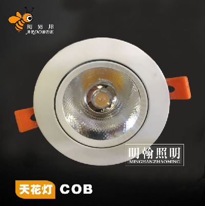 Anubang ┃COB Ceiling Light 12w Drilling 90mm-100mm White Spray