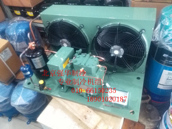 Bizer Refrigeration Compression Unit 2GC-2 2 2GES-2Y 2P 2 Pickup Refrigeration Preservation Freezer Group