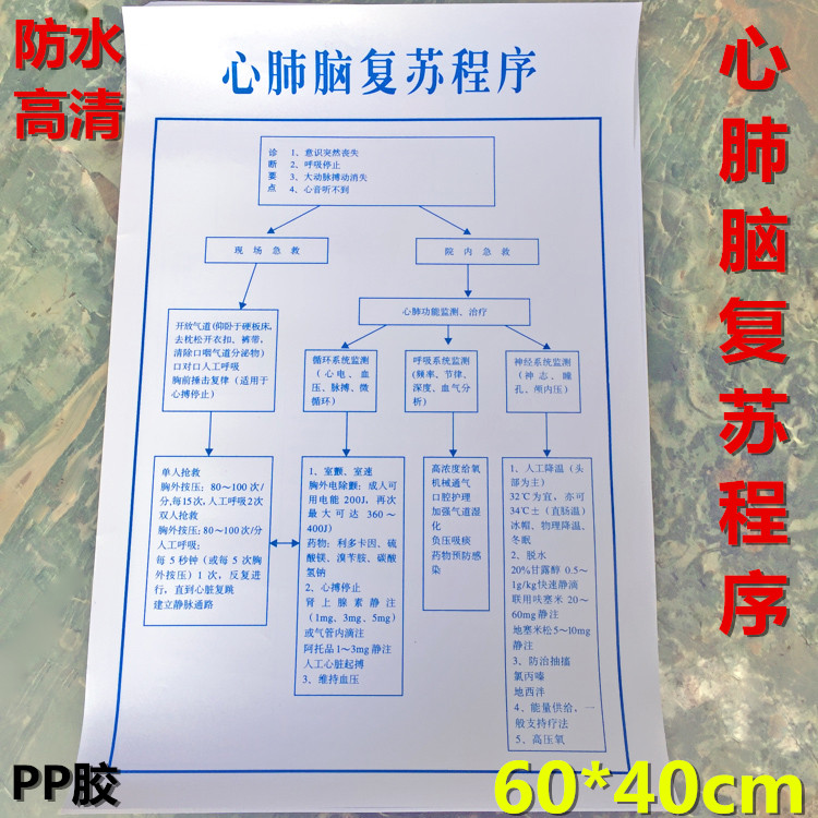 医院用心肺脑复苏程序挂图贴图图解医院诊所卫生室张贴海报图画