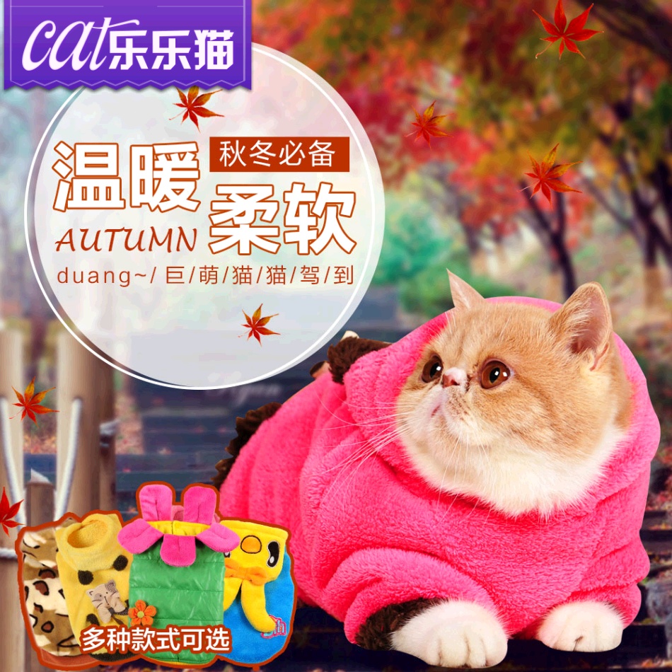 乐乐猫 猫咪衣服宠物猫衣服夏英短美短加菲小猫衣服幼猫衣服春夏