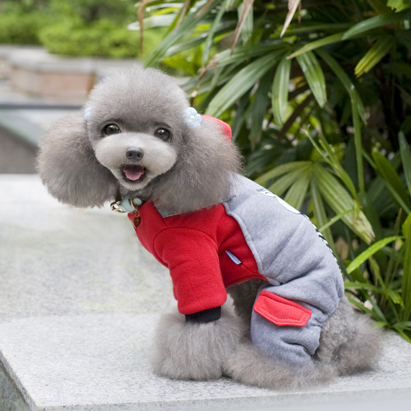 狗狗衣服 宠物服装四脚装小狗吉娃娃比熊博美泰迪衣服秋冬装秋装