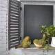 Trang trí nội thất phòng khách sáng tạo Đồ trang trí vườn chim Vườn nhựa ngoài trời Vườn cảnh Vườn miếng trang trí Động vật trang trí phòng khách nhà cấp 4 Trang trí nội thất
