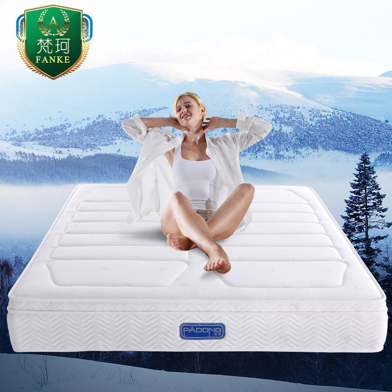 �����������齺����