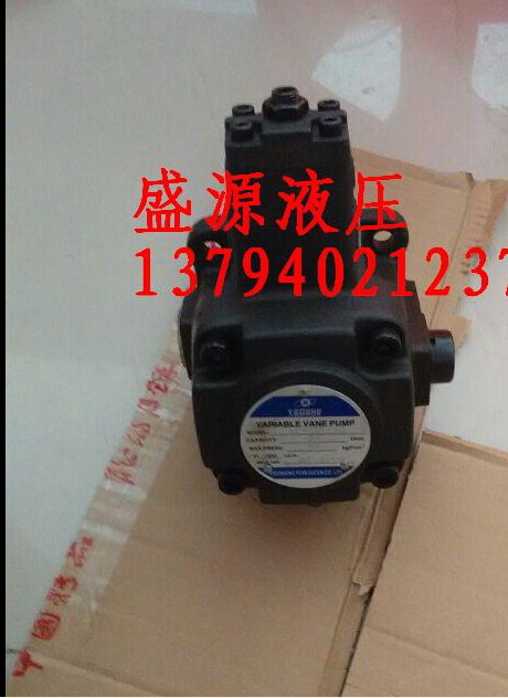 YC1-F40A2 hydraulic oil pump
