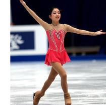 Dazzling Arts Group Custom Figure Skating Suit Skaters Skating Dress Skating Dress Skating Suits for Gymnastics Suits