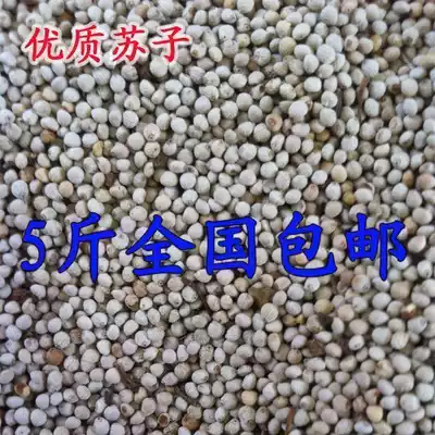 Pet bird food bird food Su seed Suzi White Su son White Su son hibiscus bird Jade Bird parrot Pearl Man 1kg