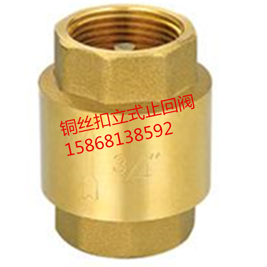 4 minutes 6 minutes 1 inch copper vertical check valve pure copper vertical spring check valve water meter front check valve check valve check valve