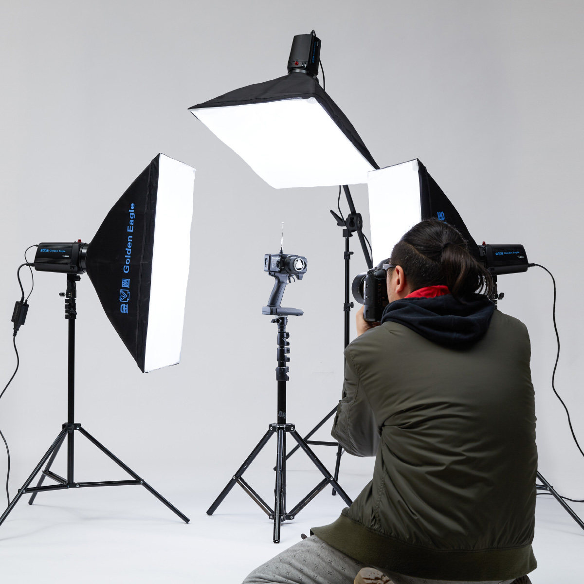 31731 Golden Eagle 250w Flash Photo Lamp Set Softbox Photo