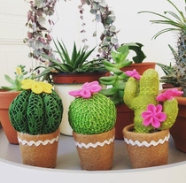 Domestic spot British simulation cactus small potted home desktop decorations small ornaments