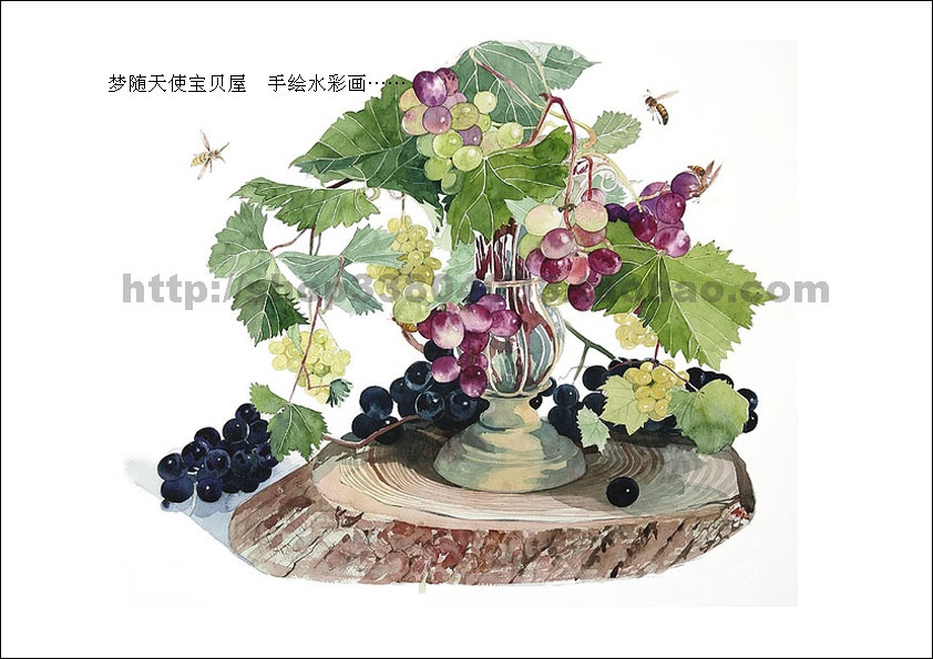 Pure hand-painted watercolor painting flower series Hovenia japonica flower copying grape manuscript