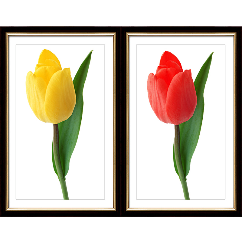 ��˿����ʮ������������