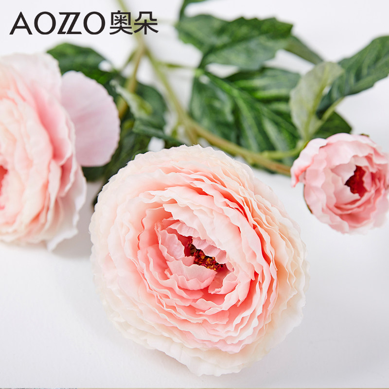 �¶�ҹĵ�����滨80111301106