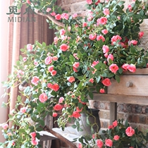 Looking for point rose rose simulation flower warm powder wreath flower vine vine rattan wall hanging decoration landscaping wedding European style
